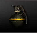 M69HE Frag