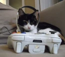 KillHil/Video Game Resolutions for 2012