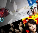 Believe no Fansub