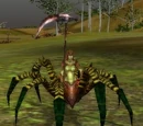 Arachné Patrouilleuse