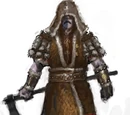 Druid of the Storm