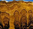 Proterozoic