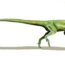 Juravenator