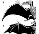 Analogy (biology)