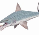 Helicoprion