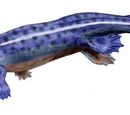 Ichthyostega