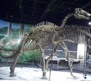 Bactrosaurus