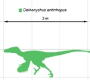 Deinonychus