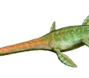 List of plesiosaurs