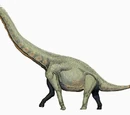 Euhelopus