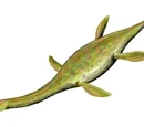 Sauropterygia