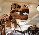 Dinosauria