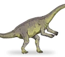 Massospondylidae