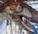 Megalosauridae