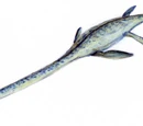Elasmosaurus