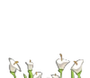 Flower Power!