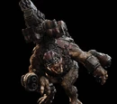 Brumak