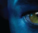 The Art of Avatar: James Cameron's Epic Adventure