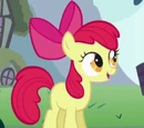Apple Bloom