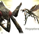 Megopteran