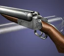 Shotgun