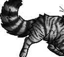 Feathertail