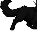 Hollyleaf