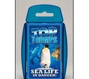Sealife in Danger