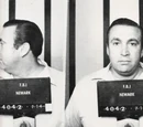 Roy DeMeo