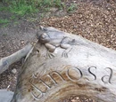 Benches and seats as public art