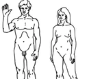 Human
