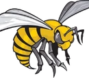Alabama State Hornets