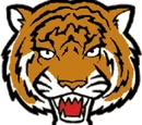 St. Paul's Tigers