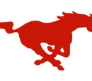 Southern Methodist Mustangs
