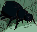 Giant Spider
