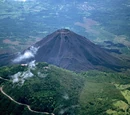 Coffee industry of El Salvador