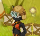 Flip Flap
