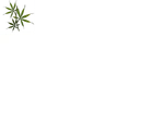 Hemp (plant)