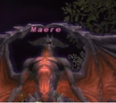 Maere