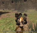 Earth Elemental