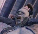 Troll bogeys