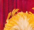 Big Bird's Mother Goose