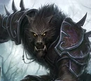 Worgen (Race jouable)