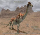 Wild Dhalmel