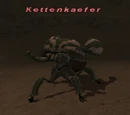 Kettenkaefer