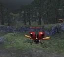 Biddybug