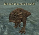 Drachenlizard