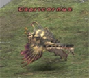 Capricornus