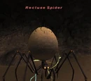 Recluse Spider