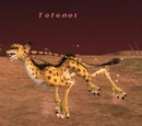 Tefenet